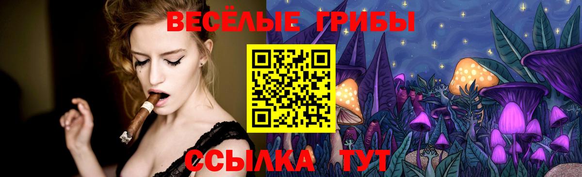 Норильск  Псилоцибиновые грибы мухоморы  Вход с VPN 